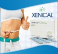 /album/fotogaleria/xenical1-jpg/